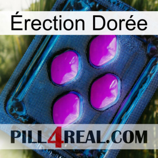 Érection Dorée 04